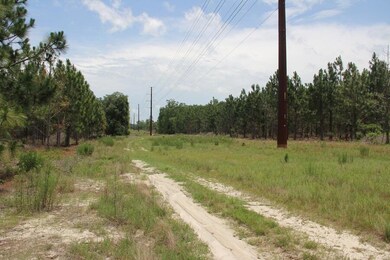 00 Stacey Bridge Rd, Orangeburg, SC 29118 - photo 4