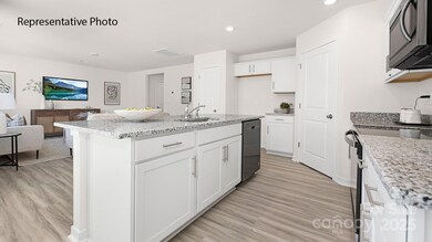 1036 Horizon Ln, Chester, SC 29706 - photo 4