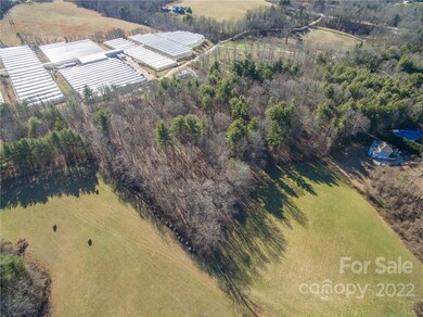 99999 Sunnyview Terrace unit C, Asheville, NC 28804 - photo 5