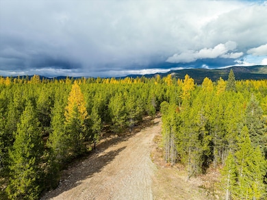 Nhn (Lot 1) Lower Lost Prairie Rd, Marion, MT 59925 - photo 4