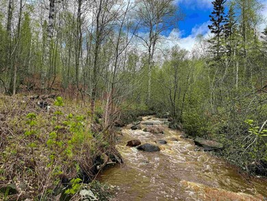 View of local wilderness featuring a water view