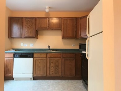 2604 Sheehan Ct unit 101, Naperville, IL 60564 - photo 5