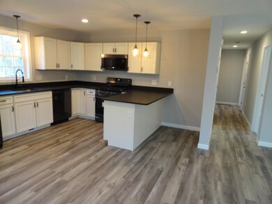 50 Kaime Rd, Pittsfield, NH 03263 - photo 3