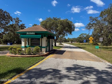 8359 Dunnellon Rd, Weeki Wachee, FL 34613 - photo 3