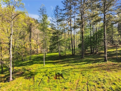 002 Swan Bridge Rd, Talking Rock, GA 30175 - photo 3