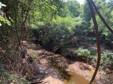 711 Buckner Rd, Lipan, TX 76462 - photo 6