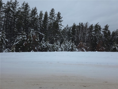 0 Liesch Rd, Trego, WI 54888 - photo 7