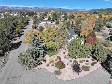 520 NE Ginters Grove Ln, Cedaredge, CO 81413 - photo 6