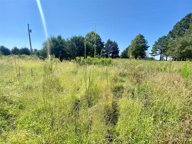 13 AC Deitz Rd, Statesville, NC 28625 - photo 5