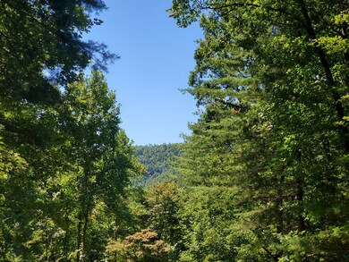 Mountain Views could be opened more