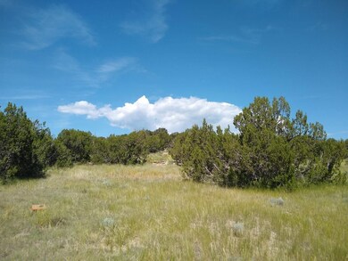 0 Carlson Rd unit 20656187, Rye, CO 81069 - photo 2