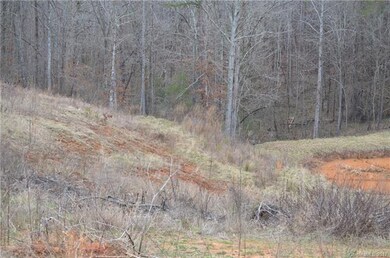Lot 7,8 & 9 Kidville Rd unit Lots 7,8 & 9, Denver, NC 28037 - photo 3