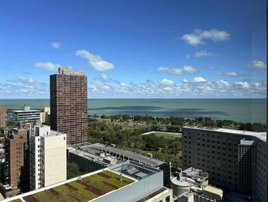 unlisted-address, Chicago, IL 60657 - photo 7