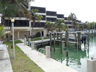 East Side of property with Dock & Seawal