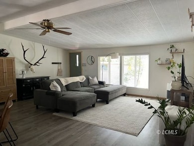 Lots of light, newer windows