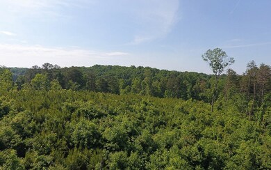 Additional View