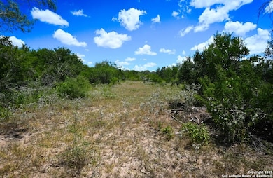 000 Cr 342, Beeville, TX 78102 - photo 3
