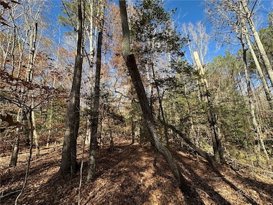 110 Watt Rogers Rd, Pelzer, SC 29669 - photo 2