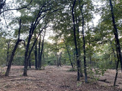 335001 Matlock Farms, McLoud, OK 74851 - photo 6