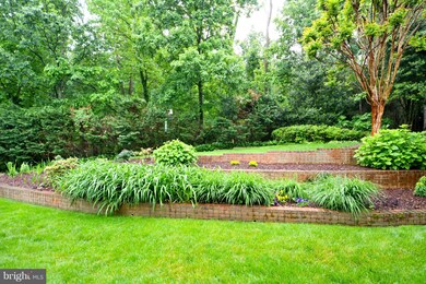 1211 Belle Vista Dr, Alexandria, VA 22307 - photo 3