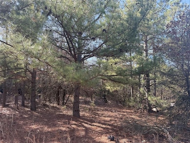 View of local wilderness with a forest view