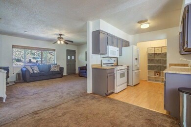 Kitchen (2)