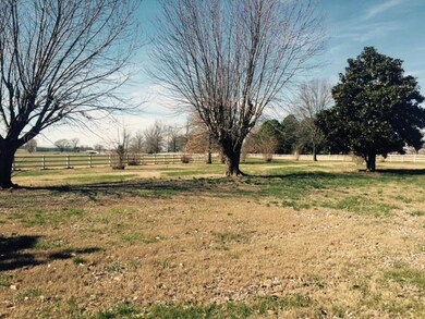 3124 Highway 231 N, Shelbyville, TN 37160 - photo 5