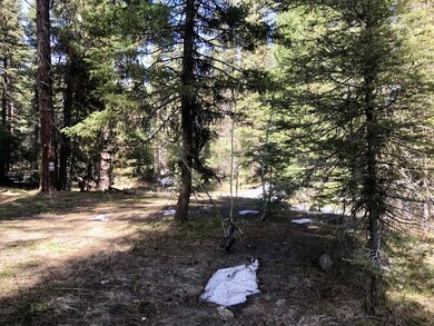 1046 Northview Dr unit 22, McCall, ID 83638 - photo 3