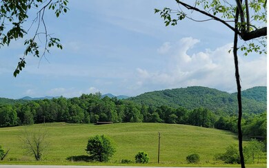 Additional View