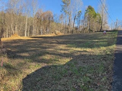 22 Moon Cir, Spring City, TN 37381 - photo 7