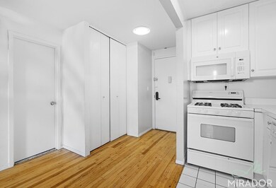 304 E 20th St unit PHH, New York, NY 10003 - photo 6