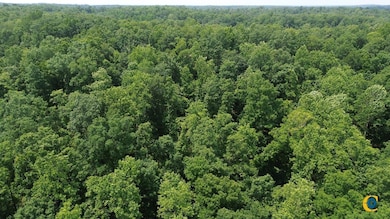 0 Catheys Creek Rd unit 25510509, Hampshire, TN 38461 - photo 4