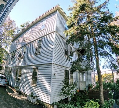 36 Leland St unit 2, Jamaica Plain, MA 02130 - photo 4