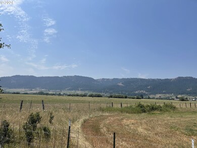 0 Cornucopia Hwy, Halfway, OR 97834 - photo 4