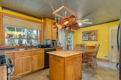 7254 Fair Elms Ave, Burr Ridge, IL 60527 - photo 7