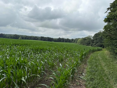 TRACT C E Sugar Grove Rd, Columbia, MO 65201 - photo 7