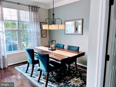 4610 Latrobe Place, Alexandria, VA 22311 - photo 5