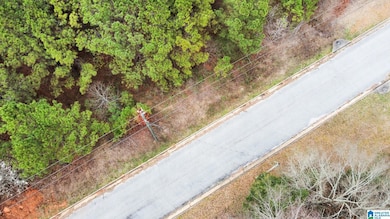 0 Stonegate Cir unit 21429355, Lincoln, AL 35096 - photo 4