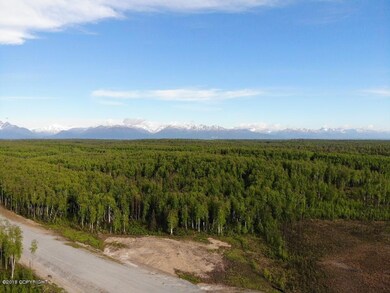 9966 W Aircraft Ct, Wasilla, AK 99623 - photo 4
