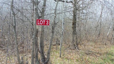 Lot 3 Minerva Dam Rd, Swiss, WI 54830 - photo 2