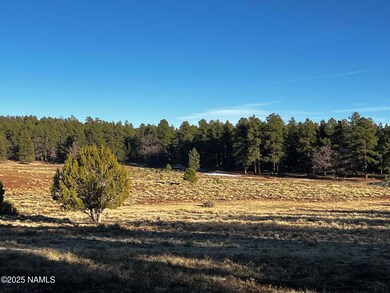 475 N Double A Ranch Rd, Williams, AZ 86046 - photo 4