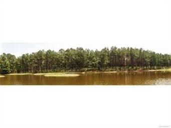 18882 Old Pike Rd, Fitzpatrick, AL 36029 - photo 2