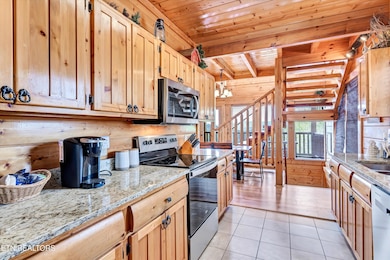 04-906 Black Bear Cub Way-4