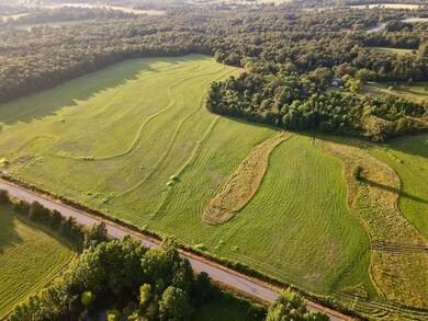 240 Oak Grove Rd unit LotWP001, Concord, AR 72523 - photo 5