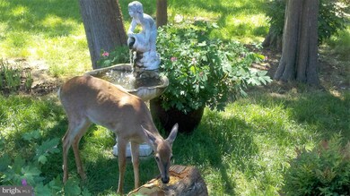 11740 Over Creek Ct, Swan Point, MD 20645 - photo 7