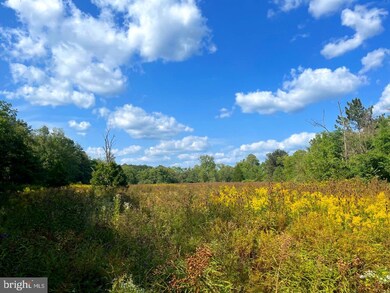 0 Jc Markwood Rd unit WVHD2001136, Old Fields, WV 26845 - photo 4