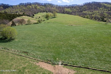 DJI_0723