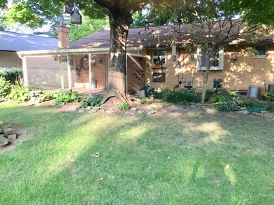 Back yard