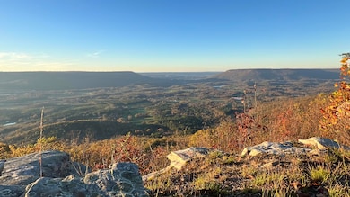 0 Tatum Gulf Rd unit 1524943, Menlo, GA 30731 - photo 7