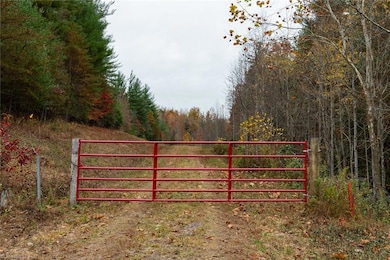 TBD W Us Highway 421, Ferguson, NC 28624 - photo 3